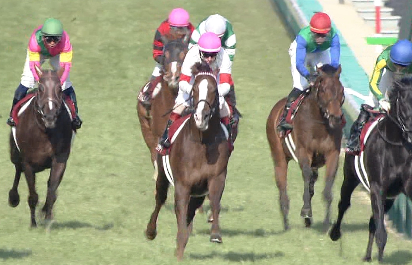 【競馬/大阪杯】スワーブリチャードまた大外wwwwwww