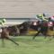 【競馬/金鯱賞】アンカツ「スワーヴリチャード半馬身差でも力が何枚も上って内容。サトノダイヤモンドは自力できた3着」SNS反応