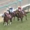 【競馬/阪神大賞典】1番人気3着クリンチャー武豊「1周目で馬がゴールだと間違えてかかってしまった」