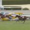 【競馬】あれ？阪神大賞典って土曜開催じゃなかった？