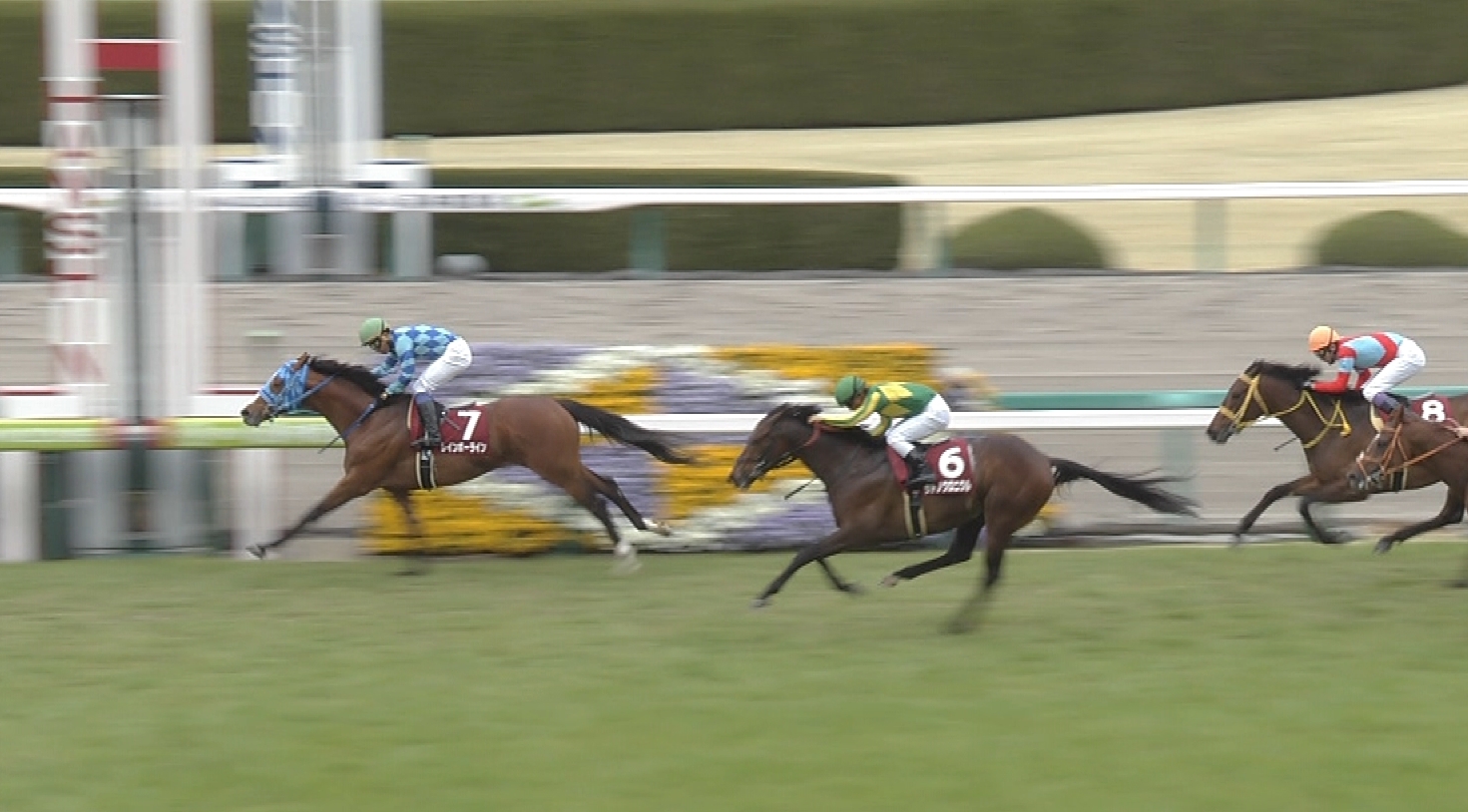 【競馬】あれ？阪神大賞典って土曜開催じゃなかった？