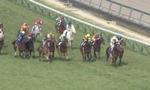 【競馬/高松宮記念】レッドファルクス以外を頭で買うアンポンタンwwwwwwwww 【競馬/高松宮記念】レッドファルクス以外を頭で買うアンポンタンwwwwwwwww