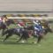 【競馬/高松宮記念】アンカツのTwitter回顧「レッドファルクスは後ろ過ぎて力を出しきれなかった」