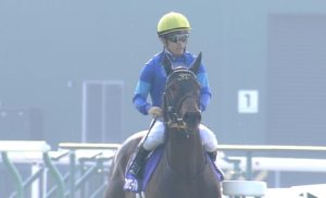 【競馬/セントウルS】ファインニードル強すぎだろ 【競馬/セントウルS】ファインニードル強すぎだろ