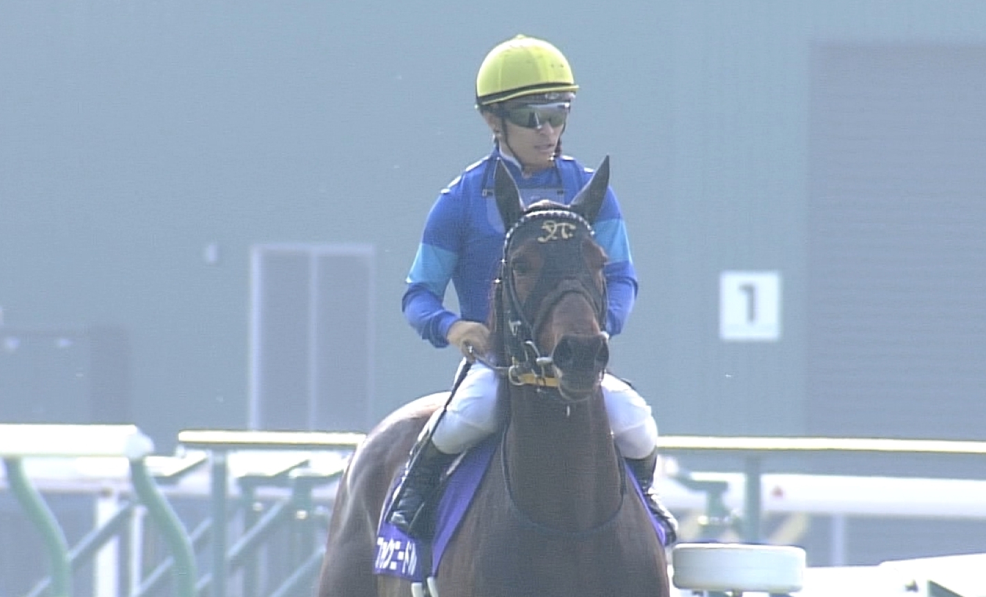 【競馬/セントウルS】ファインニードル強すぎだろ 【競馬/セントウルS】ファインニードル強すぎだろ
