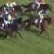 【競馬/高松宮記念】2着レッツゴードンキ岩田「何回目？きついわ・・・」