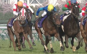 【競馬】ファインニードル 香港G1チェアマンズスプリントプライズ参戦を受諾、鞍上は調整中 【競馬】ファインニードル 香港G1チェアマンズスプリントプライズ参戦を受諾、鞍上は調整中