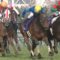 【競馬】ファインニードル　香港Ｇ１チェアマンズスプリントプライズ参戦を受諾、鞍上は調整中