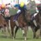 【競馬】川田将雅が海外渡航届提出、香港国際競走へ！