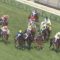 【競馬】ローズSはレッドランディーニが穴を開けます