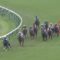 【競馬/皐月賞】福永ばっか言われてるけど4角の位置取り見ると福永、ルメール、デムーロ全員同レベル同罪じゃね？