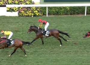 【競馬】アルアイン 体調戻らず札幌記念を見送り