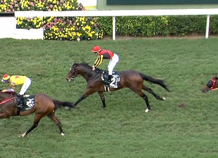【競馬】アルアインさん、競馬嫌いになる。池江＆Cデム「気難しい」