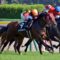 【競馬】[画像] デムーロ、直線でムチを落として焦るも手ムチで勝利（東京9Rエイシンスレイマン）
