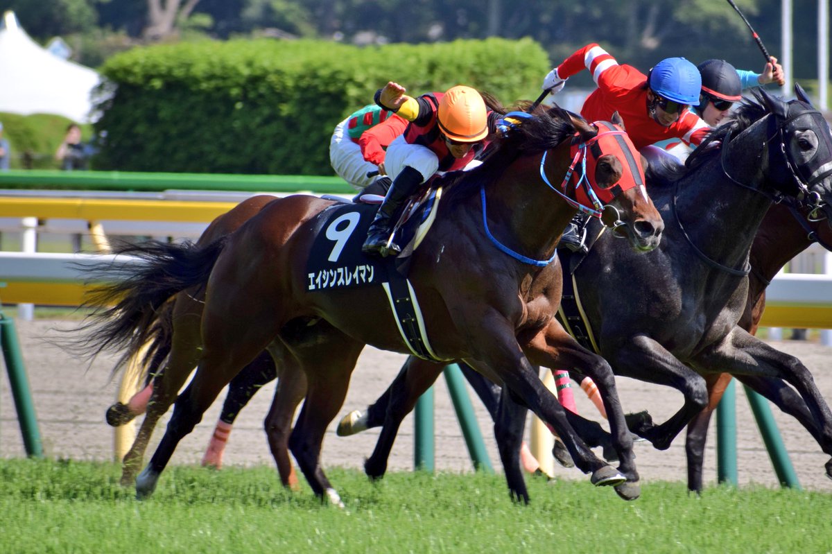 【競馬】[画像] デムーロ、直線でムチを落として焦るも手ムチで勝利（東京9Rエイシンスレイマン）