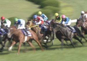 【競馬/天皇賞春】武豊だったらクリンチャー勝ってただろ