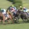 【競馬/天皇賞春】武豊だったらクリンチャー勝ってただろ