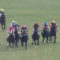 【競馬/青葉賞】オブセッションvsダノンマジェスティの斜行王対決ｗｗｗｗｗｗｗｗｗｗｗｗ