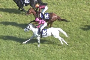 【競馬/天皇賞春】8歳牝馬スマートレイアー7着ｗｗｗｗｗｗｗｗｗｗ