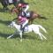【競馬/天皇賞春】8歳牝馬スマートレイアー7着ｗｗｗｗｗｗｗｗｗｗ