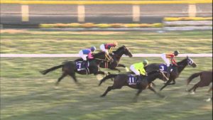 【競馬】オルフェってなんでジェンティルに競り潰されたの？