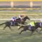 【競馬】オルフェってなんでジェンティルに競り潰されたの？