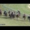 【競馬】ブラストワンピースがダービー勝てるかどうか語れ