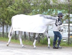 【競馬】[画像] スマートレイアーに白い馬服を着せてみたｗｗｗｗｗｗｗ