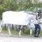 【競馬】[画像] スマートレイアーに白い馬服を着せてみたｗｗｗｗｗｗｗ