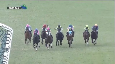 【競馬/青葉賞】オブセッションvsダノンマジェスティの斜行王対決ｗｗｗｗｗｗｗｗｗｗｗｗ