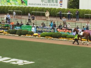 【競馬】[画像] 皐月賞でDMMバヌーシーがまたも似た横長横断幕を５枚