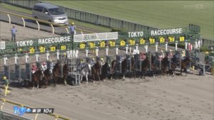 【競馬】ウチパク落馬