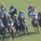 【競馬】そろそろ春天厨が湧く季節