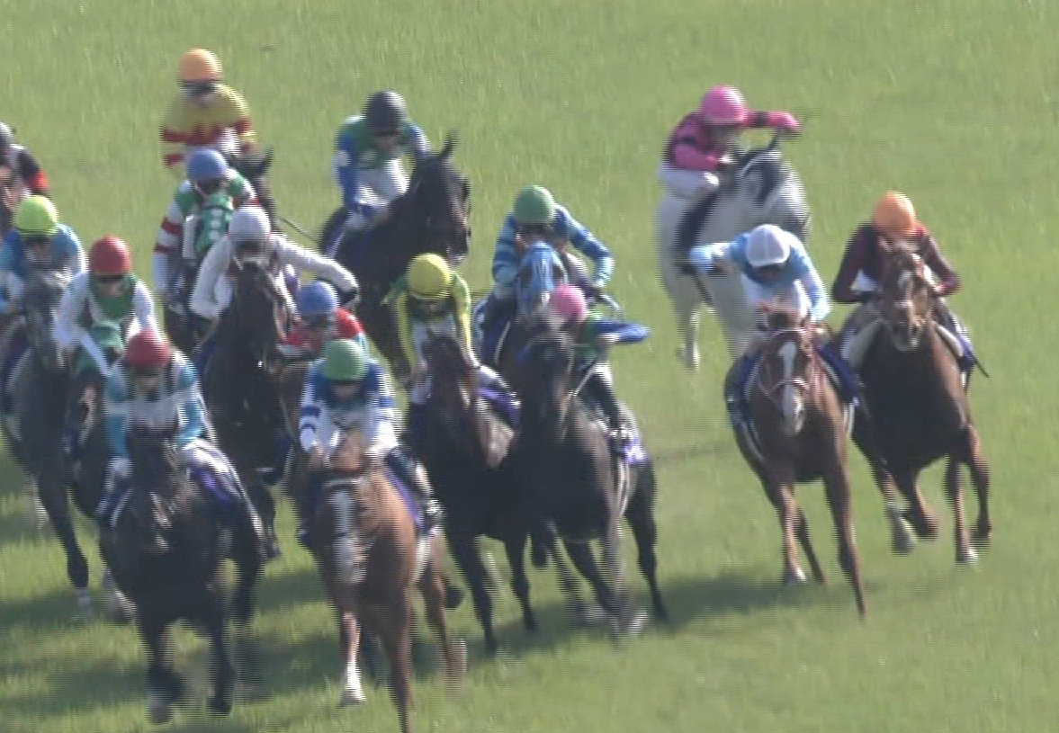 【競馬】そろそろ春天厨が湧く季節