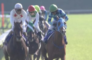 【競馬】音無「ミッキーロケット賞金少ないから宝塚のファン投票入れてくれ」 【競馬】音無「ミッキーロケット賞金少ないから宝塚のファン投票入れてくれ」