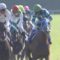 【競馬/天皇賞春】ミッキーロケットがしれっと4着な件について