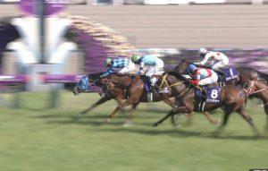 【競馬/天皇賞春】レインボーライン1着入線後岩田騎手が下馬。故障発生か