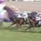 【競馬】なんでレコードだった去年の天皇賞春より上がりが掛かってる馬多いの？