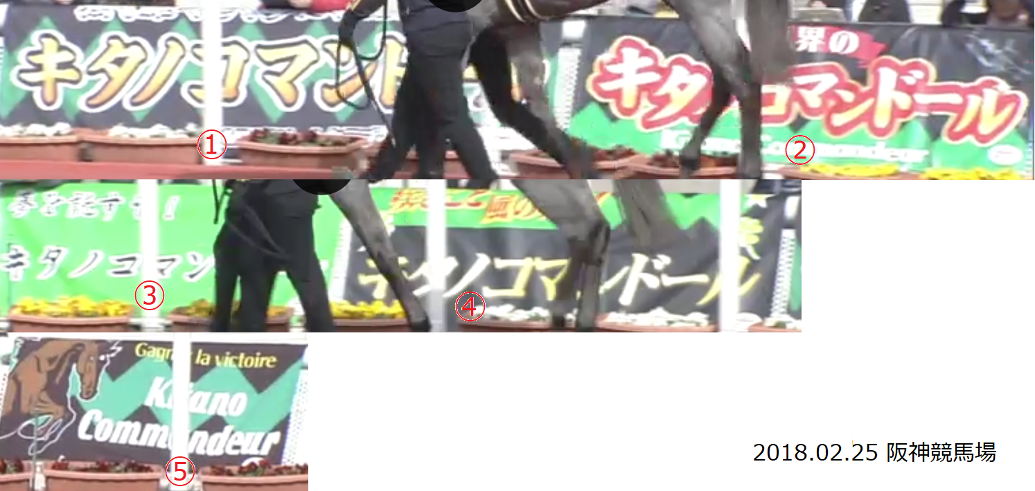 【競馬】[画像] 皐月賞でDMMバヌーシーがまたも似た横長横断幕を５枚
