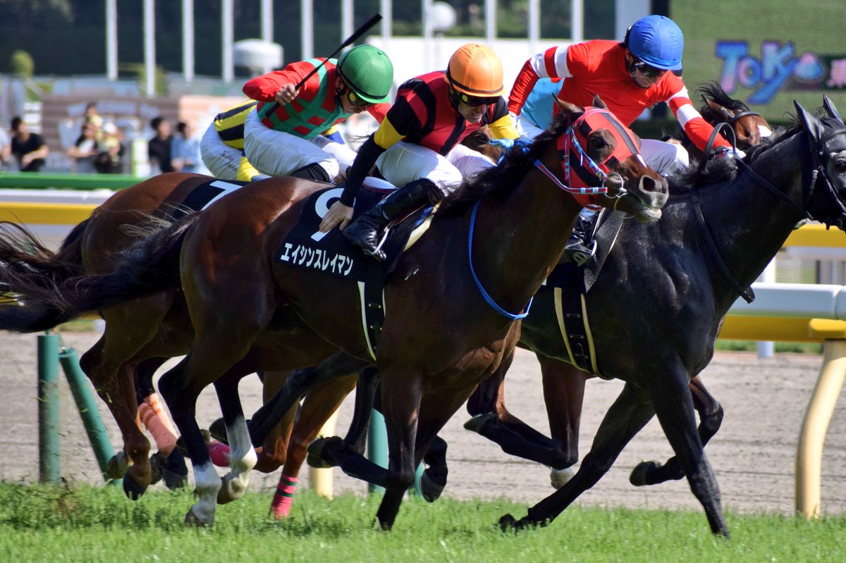 【競馬】[画像] デムーロ、直線でムチを落として焦るも手ムチで勝利（東京9Rエイシンスレイマン）