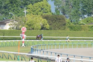 【競馬】天皇賞・春覇者レインボーライン 引き続き経過観察中 【競馬】天皇賞・春覇者レインボーライン 引き続き経過観察中