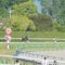 【競馬】天皇賞・春覇者レインボーライン 引き続き経過観察中