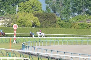 【競馬】[画像] レインボーラインを心配そうに見守るスマートレイアー姉さんがまるでナイチンゲールのようだと話題