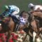 【競馬】天皇賞春ミッキーロケットが３着だったら・・・・・の会