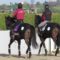 【競馬】ダノンプレミアムさん、未だにキャンター調整のみ