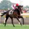 【競馬】スペシャルウィーク、放牧中の事故で死ぬ 1998年ダービー馬ＧＩ４勝