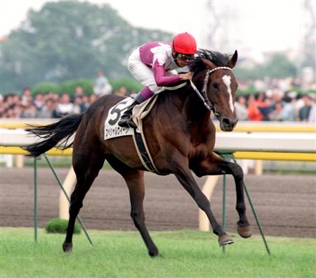 【競馬】スペシャルウィーク、放牧中の事故で死ぬ 1998年ダービー馬ＧＩ４勝