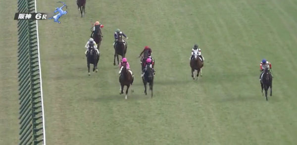 【競馬/青葉賞】オブセッションvsダノンマジェスティの斜行王対決ｗｗｗｗｗｗｗｗｗｗｗｗ