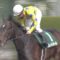 【競馬】平安SをG1にしてはどうか？