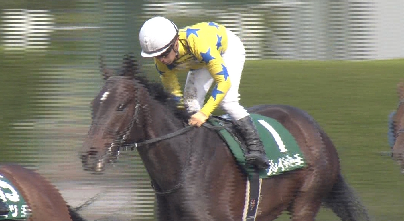【競馬】平安SをG1にしてはどうか? 【競馬】平安SをG1にしてはどうか?
